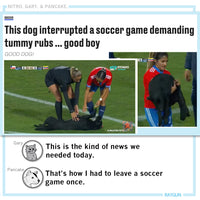 KC Soccercock
