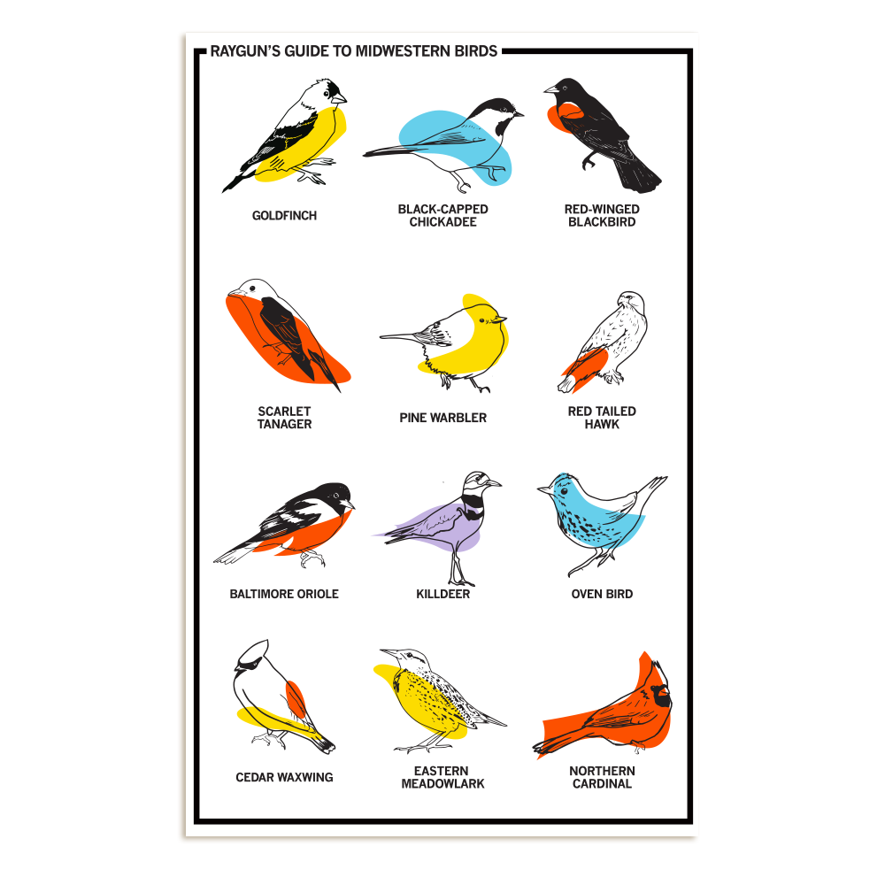 Midwestern Birds Poster