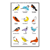 Midwestern Birds Poster