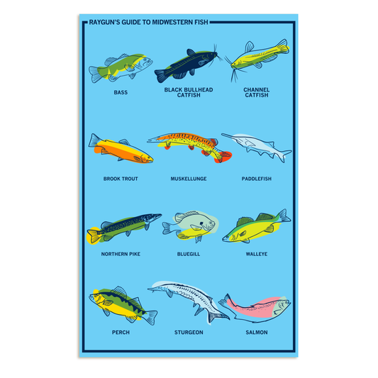 Rayguns Guide to Midwestern Fish poster showing illustrations and names for twelve fish species including bass, catfish, muskellunge, and salmon.