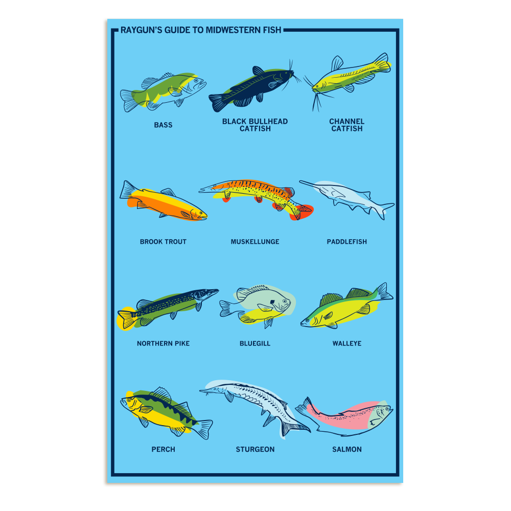 Midwestern Fish Poster