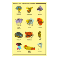 Midwestern Mushrooms Poster