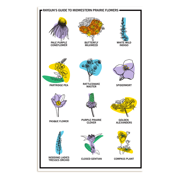 Midwestern Prairie Flowers Poster