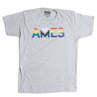 Ames Text Progress Pride Flag Shirt