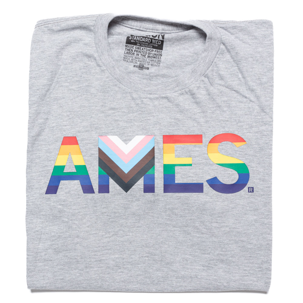 Ames Text Progress Pride Flag T-shirt