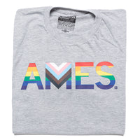 Ames Text Progress Pride Flag T-shirt