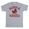 Cyclones Born & Raised Vintage Grey ISU T-Shirt