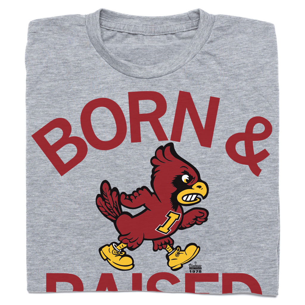 Cyclones Born & Raised Vintage Grey Iowa State Shirt
