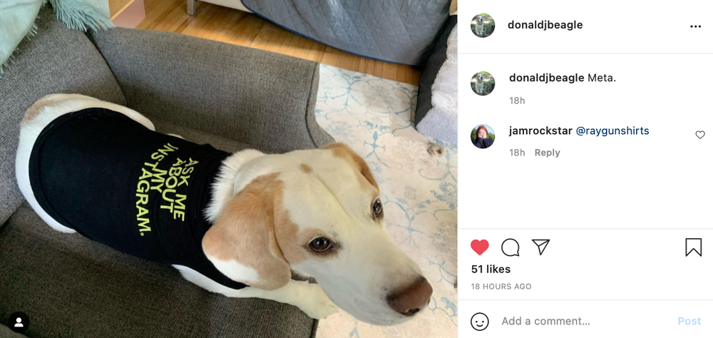 Ask Me About My Instagram Dog Shirt