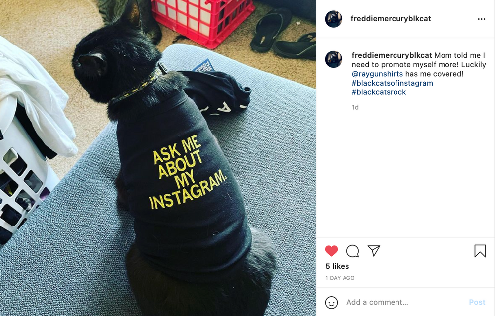 Ask Me About My Instagram Dog Shirt