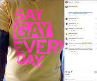 Say Gay Every Day Gold