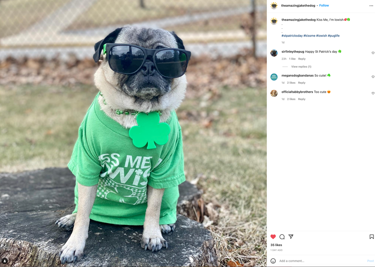 A pug wearing black sunglasses and a green Irish t-shirt with a shamrock necklace, sitting on a tree stump.