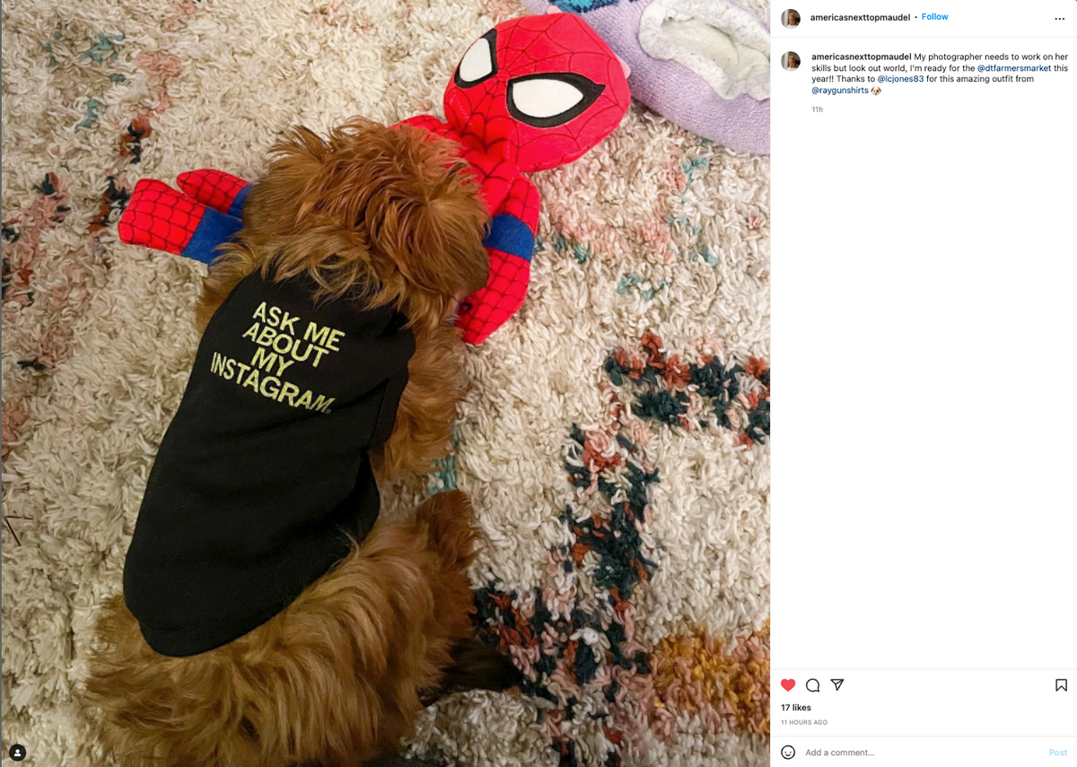 A small, brown, fluffy dog wearing a RAYGUN Instagram dog shirt that reads ASK ME ABOUT MY INSTAGRAM, lying on a rug next to a plush Spider-Man toy.