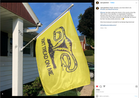 Don't Tread On Me Uterus Flag