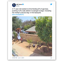 Image of a 17-year-old pushing a brown bear over a brick wall to keep it away from their mother's service dog in their backyard.