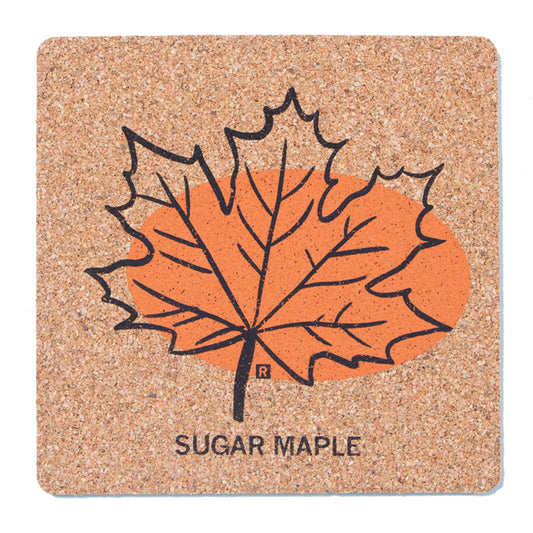 Square cork coaster featuring a black outline of a Sugar Maple leaf over an orange shape with the text SUGAR MAPLE.