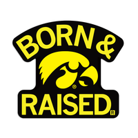Iowa Hawkeyes Born & Raised Die-Cut Sticker