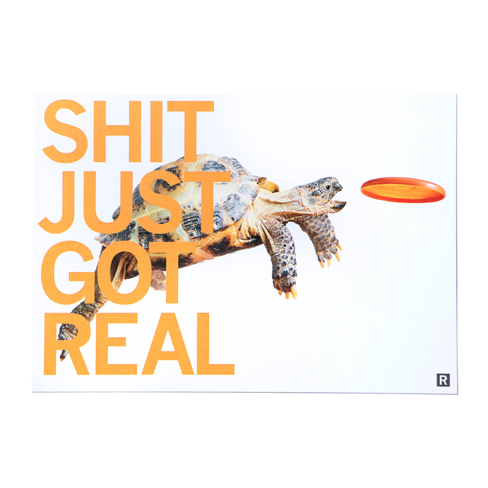 Shit Just Got Real Turtle Postcard