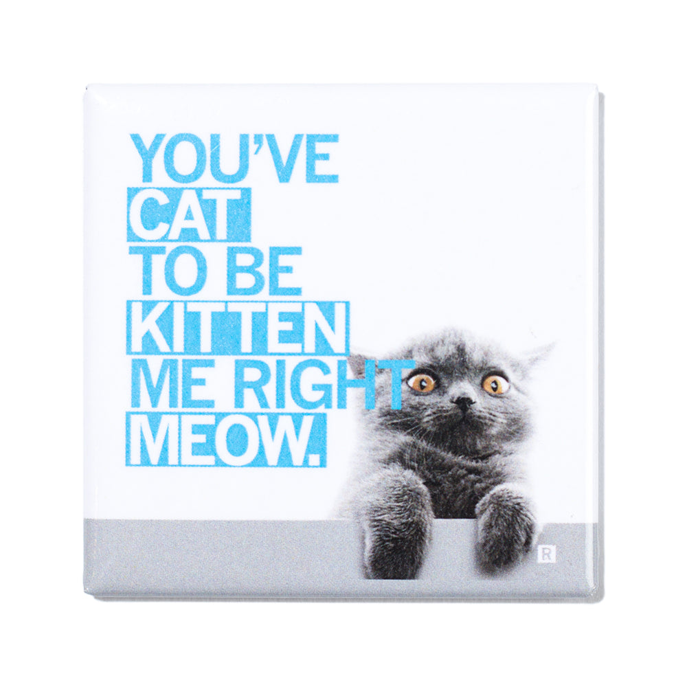 Cat To Be Kitten Me Photo Metal Magnet