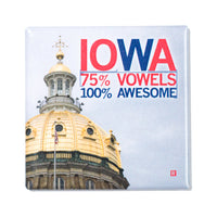 Iowa Vowels Photo Metal Magnet