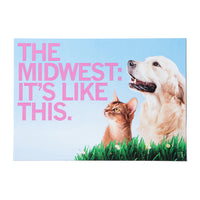 The Midwest It's Like This Cat Dog Photo Postcard