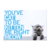 You've Cat To Be Kitten Me Right Meow Photo Postcard