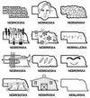 A blue print postcard grid of twelve line-art illustrations of Nebraska, each representing a pun with a corresponding label, such as a brick wall (Nebrickska), a face (Nebradska), a brain (Nebrainska), and a barn (Nebarnska).