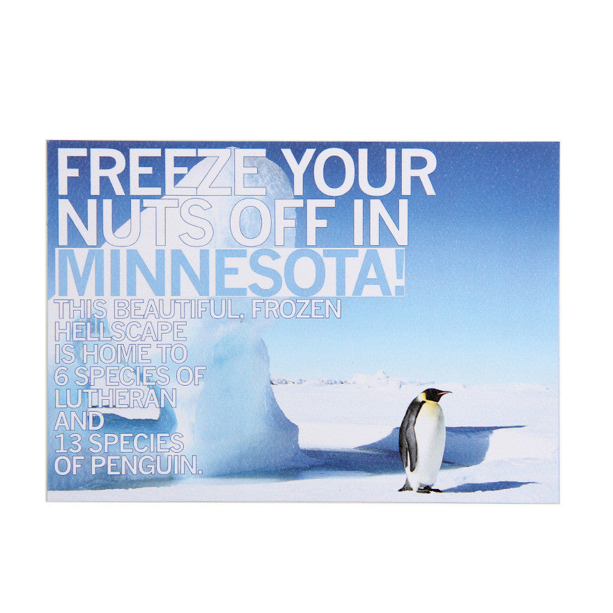 Freeze Your Nuts Minnesota Postcard