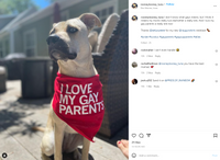 I Love My Gay Parents Dog Bandana