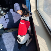 Loved Dog Shirt