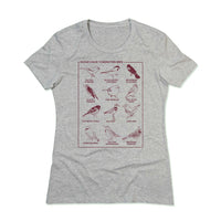 Midwestern Birds Midwest Nature Environment Grey Cardinal Raygun T-Shirt Snug Standard Unisex