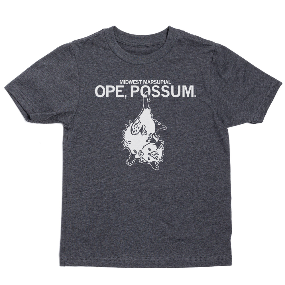 Midwestern Marsupial Ope, Possum Charcoal Nature White Animals Environment Midwest Raygun Kids
