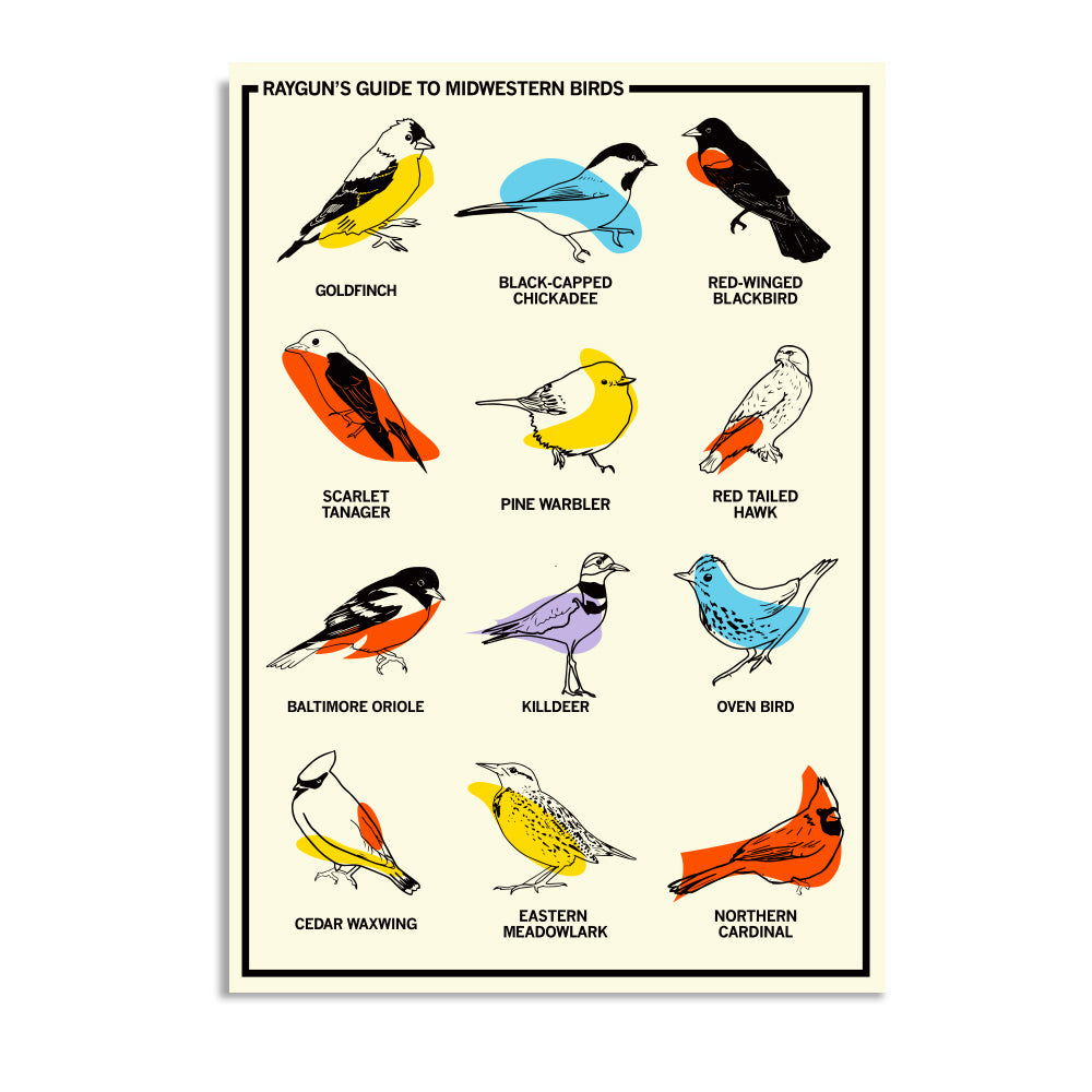 Midwestern Birds Postcard