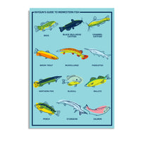 Midwestern Fish Postcard