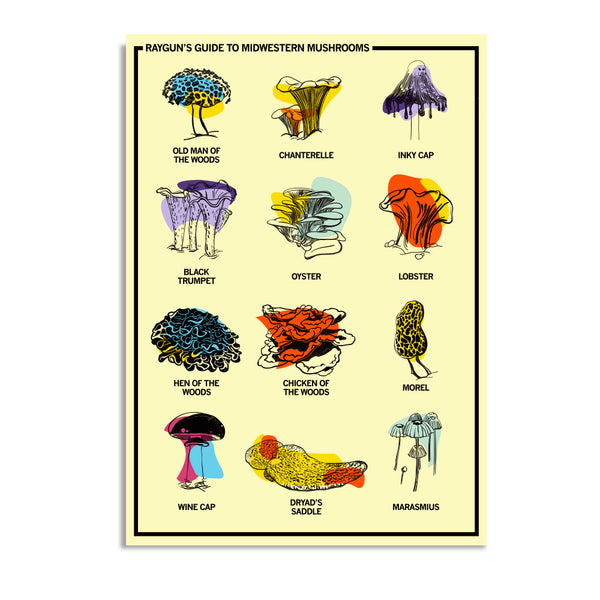 Midwestern Mushrooms Postcard