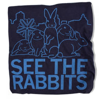 See The Rabbits Cedar Rapids Raygun T-Shirt Standard Unisex